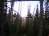 Elk Hunt 2008 077.jpg