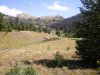 Elk Hunt 2008 019.jpg