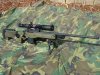 A.I Stock Tactical M700 .308 cal 002.jpg