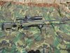 M1A and Tactical M700 .308 cal 004.jpg