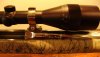 cantu rifle 004.jpg