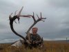 2012caribou 008.jpg