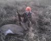 Jeffery 1st deer 2012.jpg