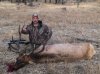 2012 elk 001.jpg