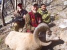 BC CA Bighorn.jpg