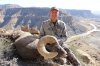 Big Horn Sheep shot picture.jpg