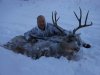 Steves Deer 2012 005.jpg