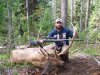 Elk 2012 001.jpg