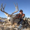 Mule Deer 1.jpg