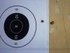 300 Yard C22 Group.jpg