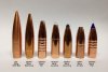 375 cal bullets-1.jpg