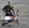 Pronghorn 9.JPG