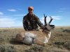 Antelope 2011.JPG