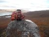 150 lb musk ox and a rabbit.jpg