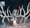 WorldRecordWhitetail.jpg