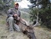 Elk2012004.jpg