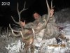 Elk2012011.jpg