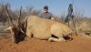 Eland photo Botswana (1280x720).jpg