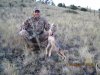 Coyote Hunt aug 2013 006.jpg