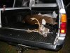 2013 deer 007.jpg