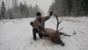 2013 elk 2.jpg