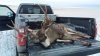 2013 Muley Buck 031.jpg