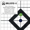 Ballistic-X-Export-2021-04-04 17-21-22.290379.jpg