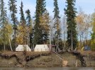 Moose Camp_Sep21.jpg