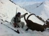 IBEX AND SNOWY MOUNTAIN.jpg