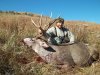 2011muledeer 006.jpg