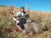 2011muledeer 004.jpg