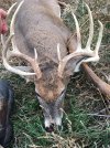 My Whitetail2.jpg