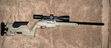 Ruger 22 (2).jpg