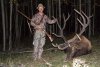 Aram's Elk #2 img..jpg