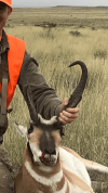 antelope.png