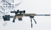 SavageStealthEvolution 338 Lapua.jpg