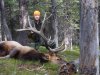 2014 Elk.jpg