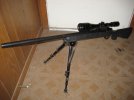 Remington 700  22-250 Buris 6X24 002.JPG