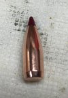 Nosler 32 grain 20 caliber Varmint Tip Bullet.JPG