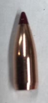 Nosler 32 grain 20 caliber Varmint Tip Bullet 1.JPG