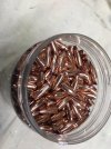 Nosler 32 grain 20 caliber Varmint Tip Bullet 2400+.JPG