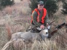 My Mule Deer 4.jpg