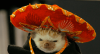 Packrat with sombrero.png