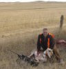 Antelope 2011 Montana c.jpg