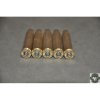300-win-mag-federal-primed-brass-100-ct.jpg