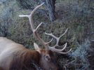 2014 Elk hunt 003.JPG