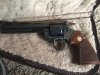 IMG_colt python 3.jpg