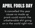 April's fool.jpeg