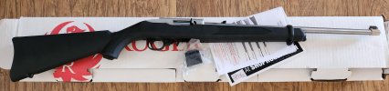 Ruger 10-22 SS.jpg