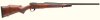 Weatherby_Vanguard_Series_II.jpg